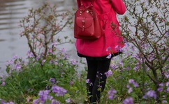 无人区码一码二码三码区